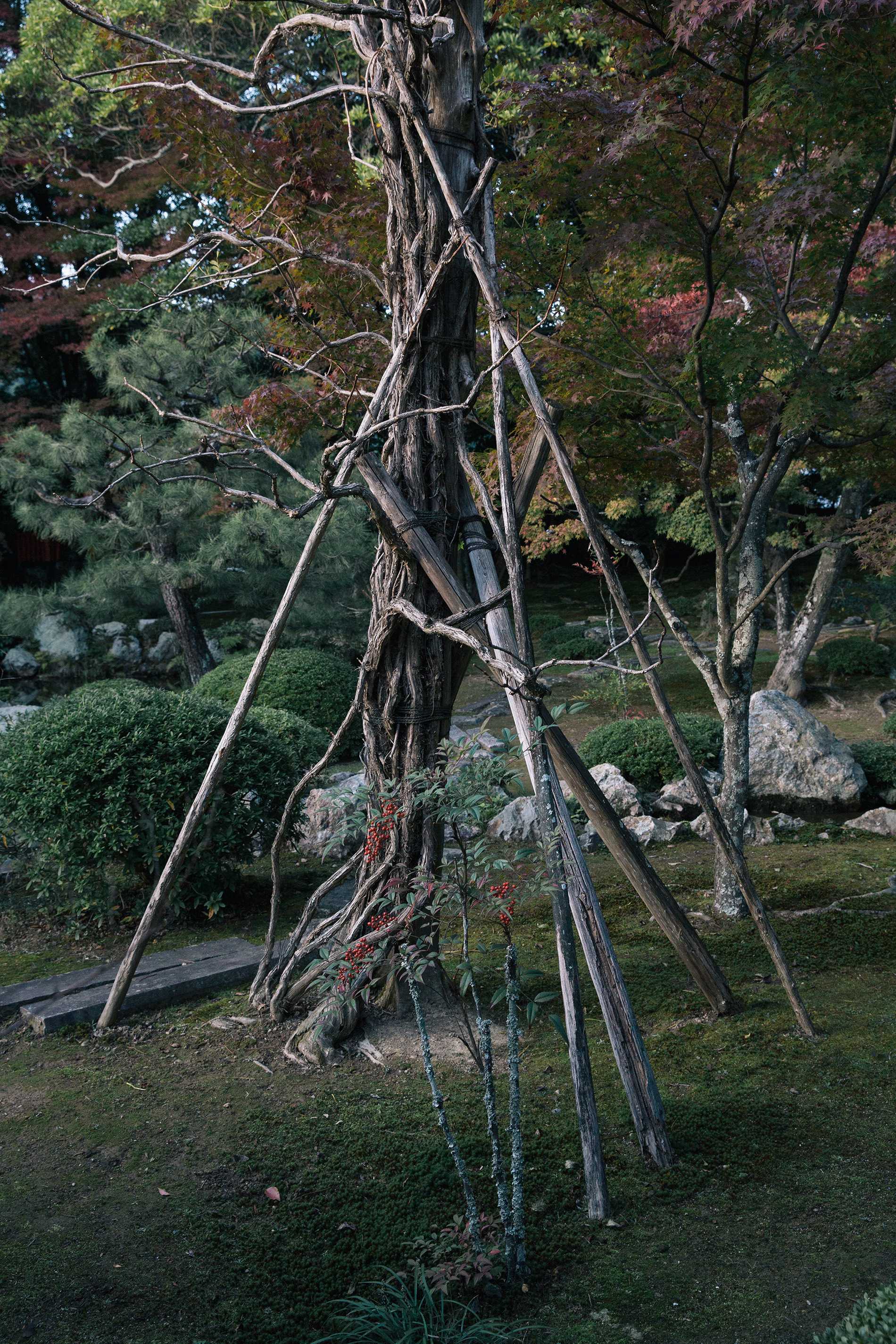 Daikakuji Temple, Kyoto.