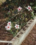 Personal Project (in progress)